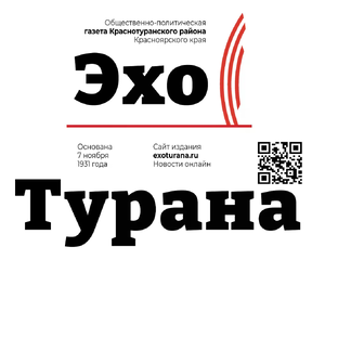 Статистика Дзен Эхо Турана