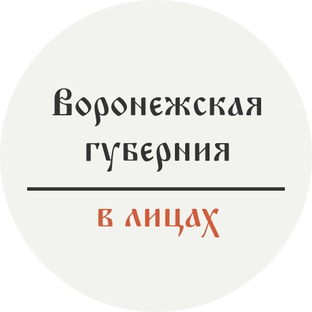 Статистика Дзен Воронежская губерния в лицах