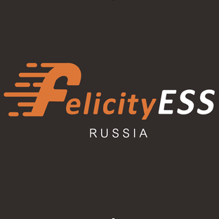 Статистика Дзен FelicityESS Russia - официальное представительство в России
