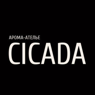 Статистика Дзен Путь аромата.  Артизан парфюмерия и редкие эфирные масла.
