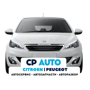 Статистика Дзен CP AUTO автосервис Пежо Ситроен