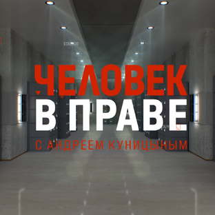 Статистика Дзен ЧВП Куницына | Человек в праве