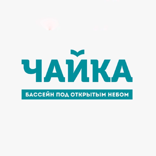 Статистика Дзен Открытый бассейн «Чайка» 