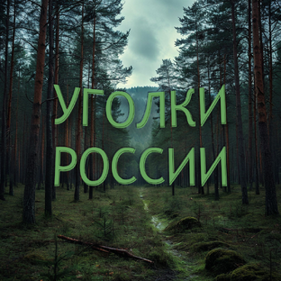 Дзен Уголки России статистика