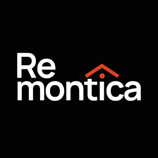 Статистика Дзен Remontica