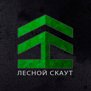 Статистика Дзен ЛЕСНОЙ СКАУТ | FOREST SCOUT