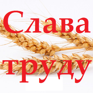Статистика Дзен АНО "Редакция газеты "Слава труду"