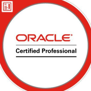 Статистика Дзен Oracle Developer