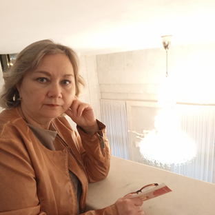 Статистика Дзен Алевтина 