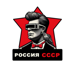 Статистика Дзен Шутилин | Россия и СССР