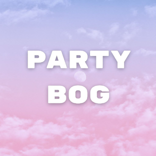 Статистика Дзен Partybog.ru - организация гендер пати, голос малыша | Уфа и РБ