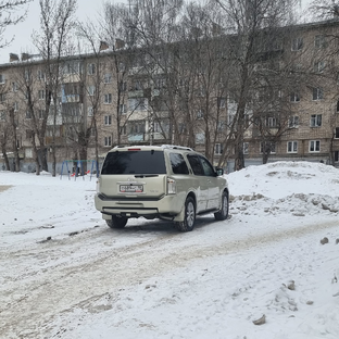 Дзен Иван Гольчанский статистика