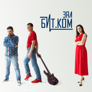 Статистика Дзен Зал Бит.коМ