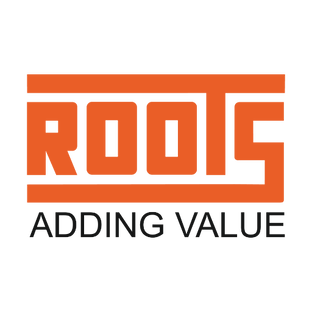 Статистика Дзен НП Системс I ROOTS 