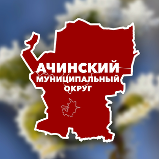 Статистика Дзен Ачинский муниципальный округ. Официально