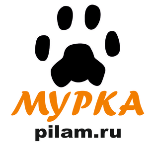 Статистика Дзен Мурка СТАНКИ и СПЕЦТЕХНИКА