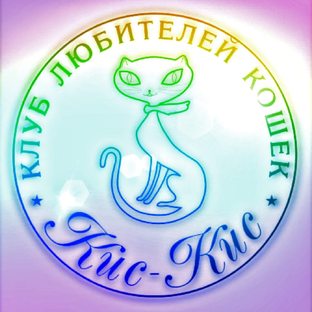 Статистика Дзен КЛК "Кис-Кис"