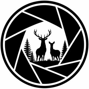 Статистика Дзен ECOZOOM WILDLIFE