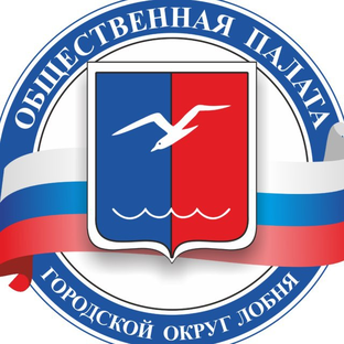 Дзен Общественная палата городского округа Лобня статистика