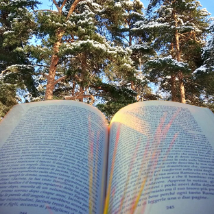 Статистика Дзен Прогулки с книгой: путешествуем и читаем