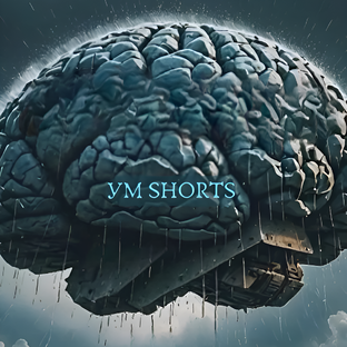 Статистика Дзен УМ SHORTS