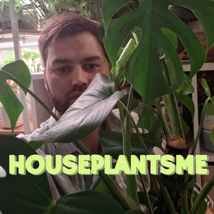 Статистика Дзен Houseplantsme
