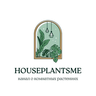 Статистика Дзен Houseplantsme