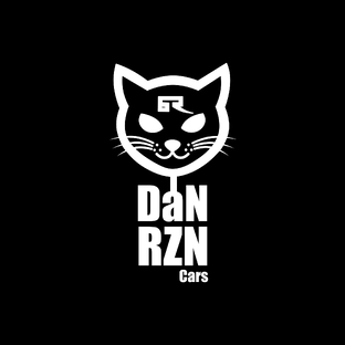 Дзен DaNRZNcars статистика