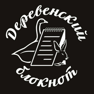 Статистика Дзен Деревенский блокнот. Честные размышления и ответы о деревенской жизни