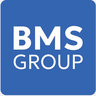Статистика Дзен BMSGroup - IT продукты для масштабирования бизнеса