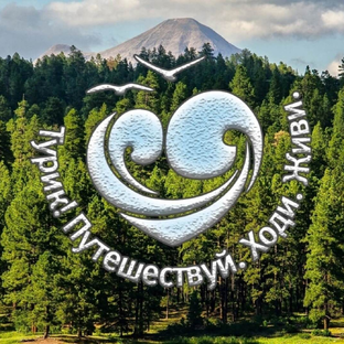 Дзен Александр Кармаенков статистика