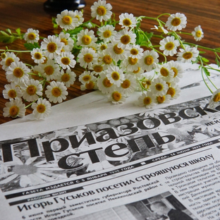 Статистика Дзен Приазовская степь