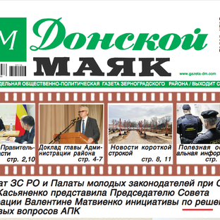 Статистика Дзен Донской Маяк