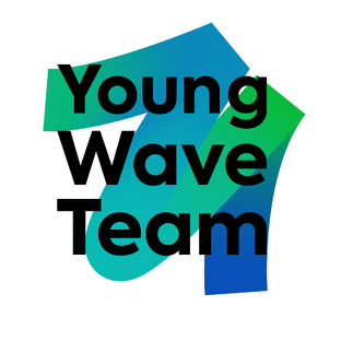 Статистика Дзен YoungWave Team