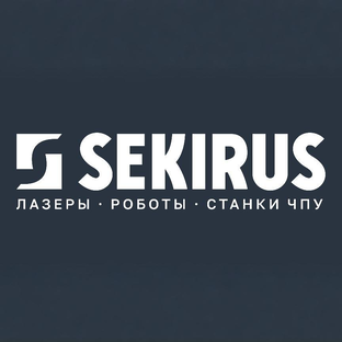Статистика Дзен SEKIRUS