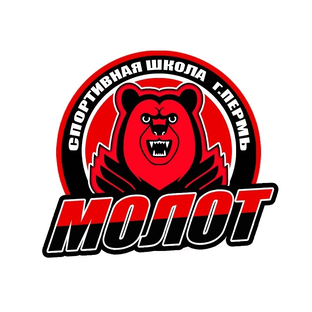 Статистика Дзен Канал СШОР "Молот" г. Пермь