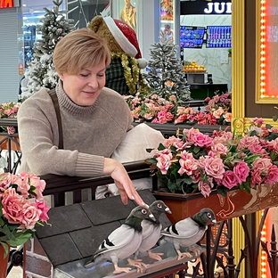 Статистика Дзен МОСКВИЧКА ИЗ ТОЛЬЯТТИ