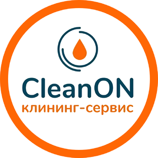 Статистика Дзен Клининговая компания КлинОН (cleanon.ru)