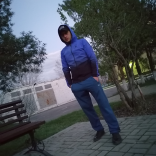 Статистика Дзен MVNPlyus