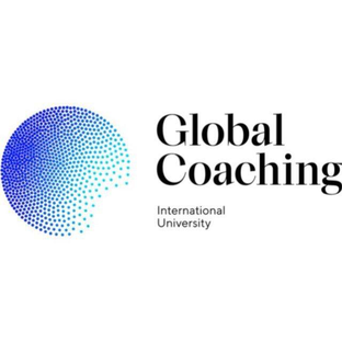 Статистика Дзен Global Coaching University