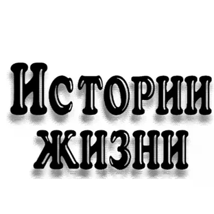Статистика Дзен Истории Жизни
