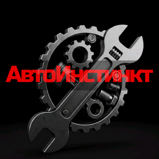 Статистика Дзен АвтоИнстинкт