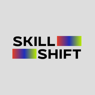 Статистика Дзен SKILLSHIFT