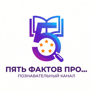 Статистика Дзен Пять фактов про...