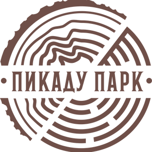 Статистика Дзен Пикаду Парк 