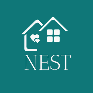 Статистика Дзен Nest | Платформа для бронирования загородного отдыха на Урале.