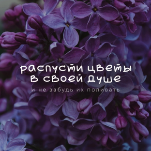 Дзен Елена / нумерология / таро статистика