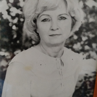 Статистика Дзен Ирина Рыкова 