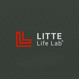 Статистика Дзен Litte Life Lab 