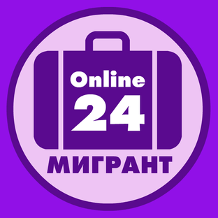 Статистика Дзен Мигрант-Online24